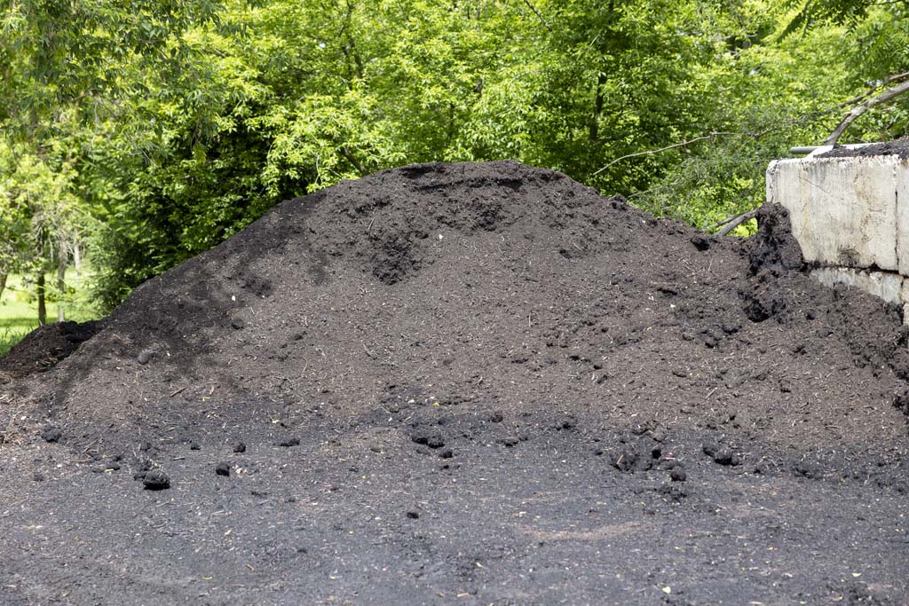 Compost